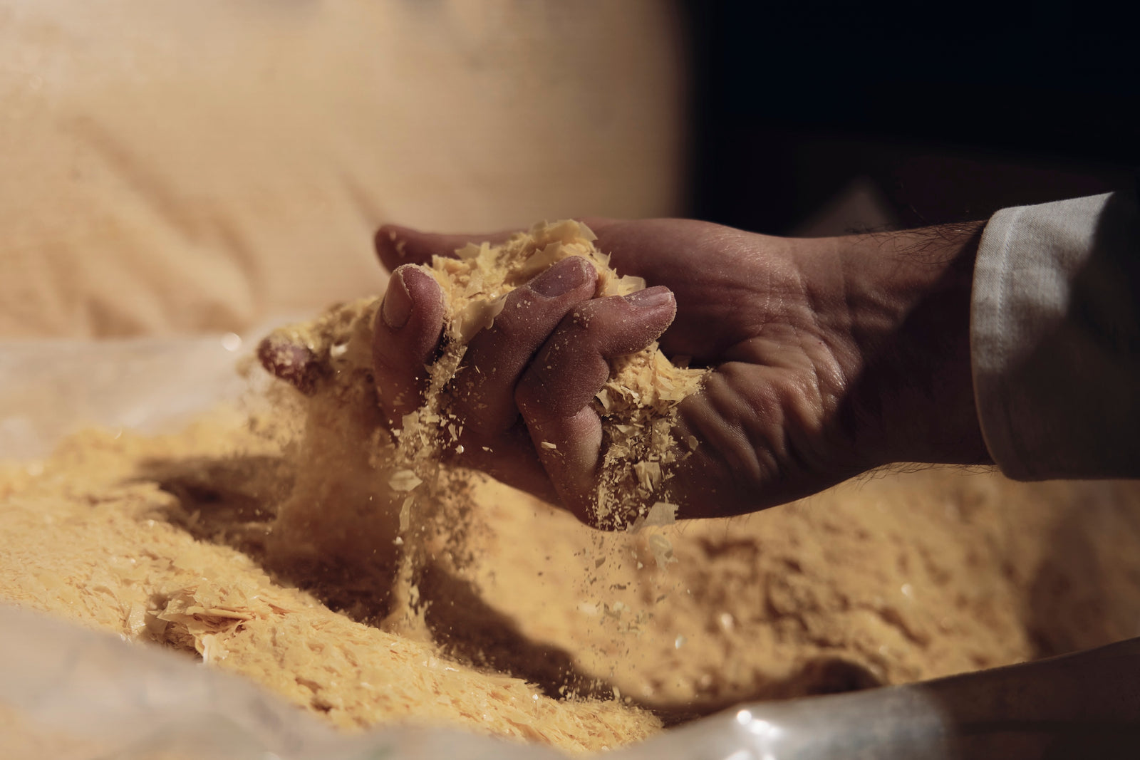 Carnauba – la cera naturale più nobile al mondo